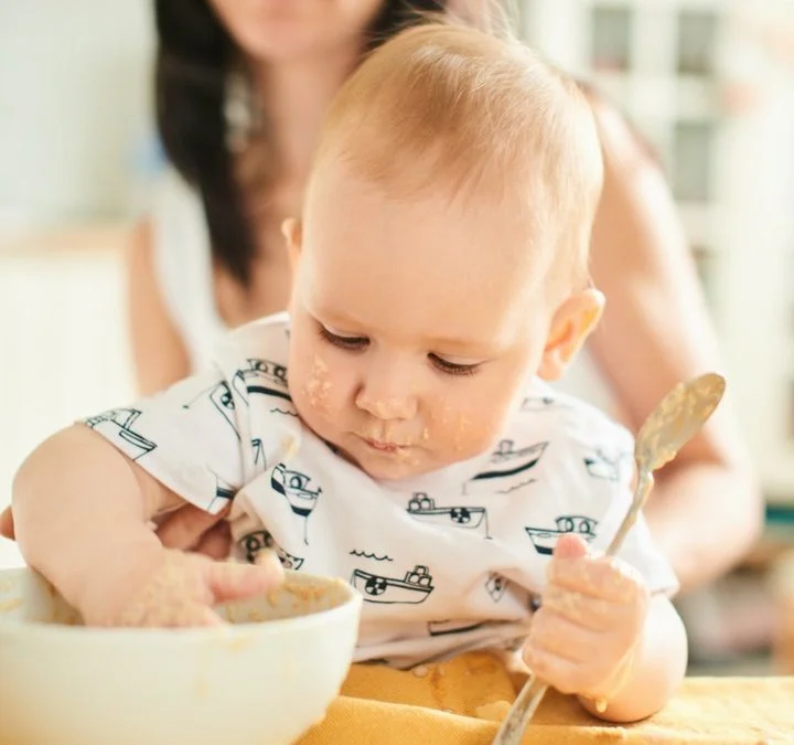 Cómo calentar, servir y refrigerar las papillas para bebé – Hablando de  Nutrición