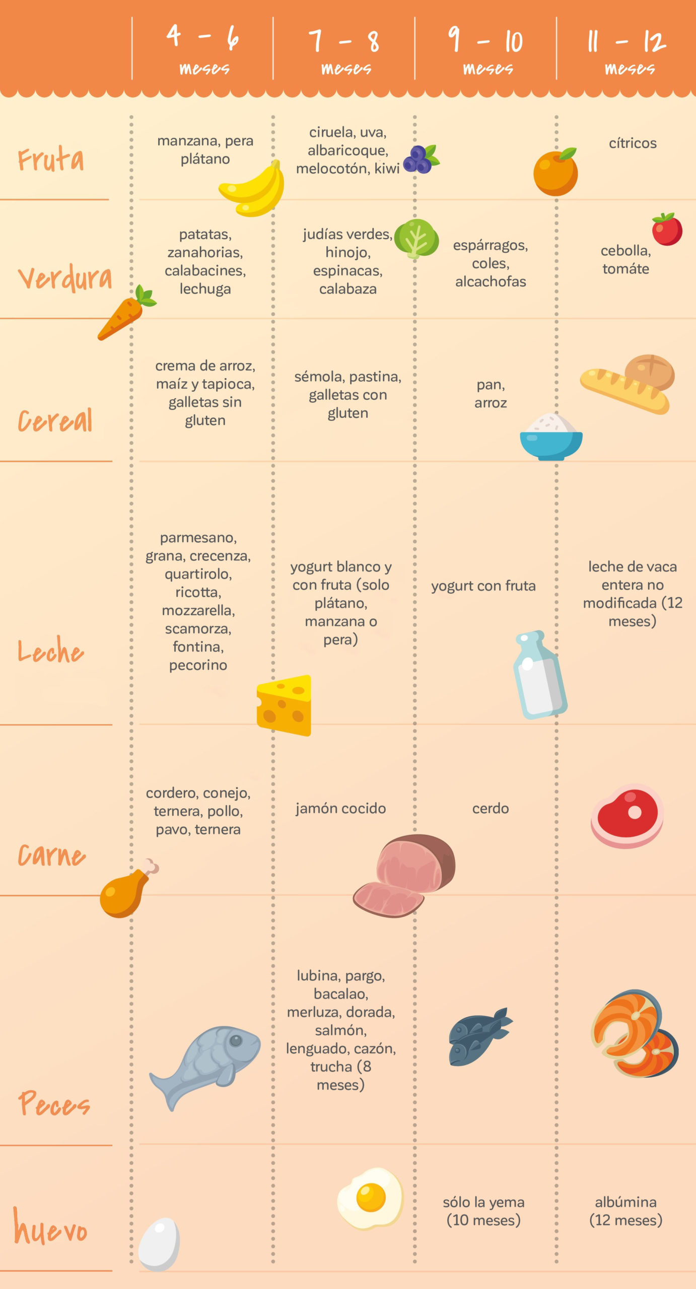 eje Correspondencia cuenca Alimentación del bebé por meses: tabla de alimentos - Blog Miniland Family